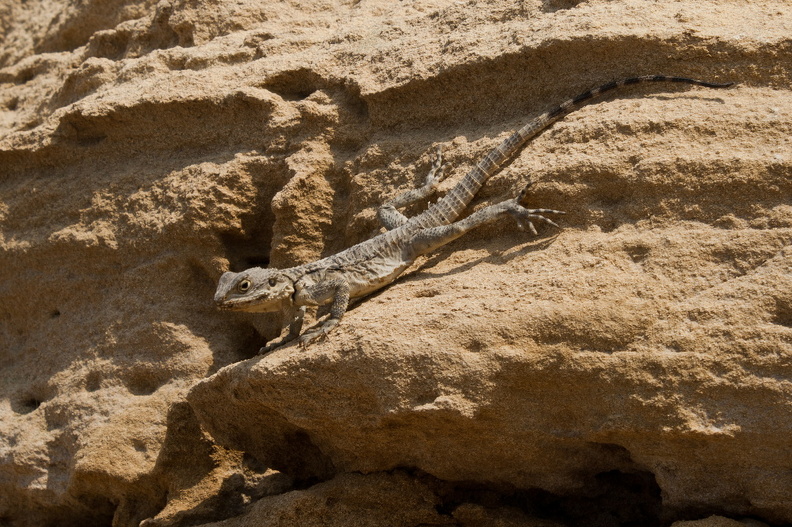 20120724_Cyprus_079.jpg